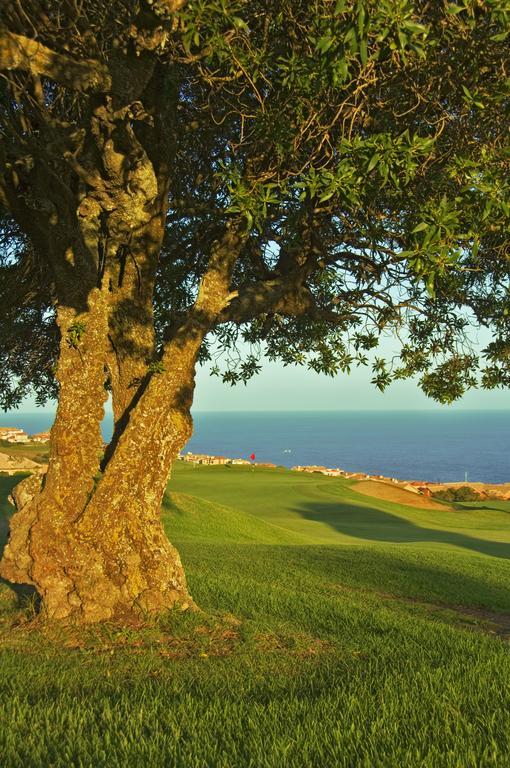 Mossel Bay Golf Lodge Eksteriør bilde